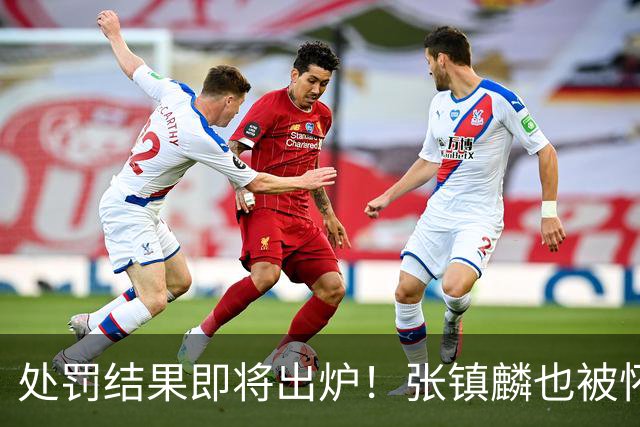 处罚结果即将出炉！张镇麟也被怀疑，球迷呼吁应取消上海冠军