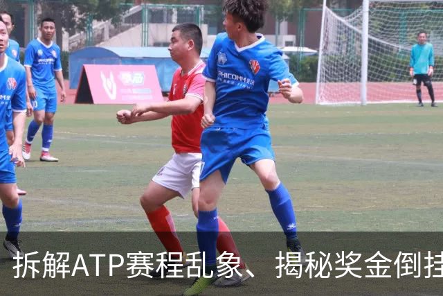 拆解ATP赛程乱象、揭秘奖金倒挂真相，坦然看待新老格局