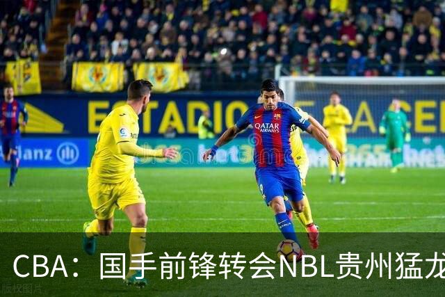 CBA：国手前锋转会NBL贵州猛龙，王少杰前往江苏男篮，吉林大将签约宁波，胡金秋预计留队